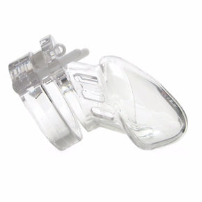 Picture for category Chastety Cage