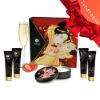 Image de SHUNGA ENSEMBLE SECRET DE GEISHA