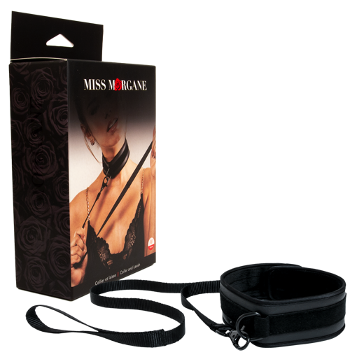 Picture of Miss Morgane - Vegan Collar and Leash