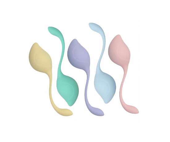 Image de 🍃 PelviFit® Stem Kegel Kit – Multiweight