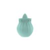 Image de Flor Handheld C-Spot Vibe – Seafoam
