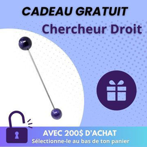 Image de Cadeau à l'achat - Le Chercheur point G - mauve