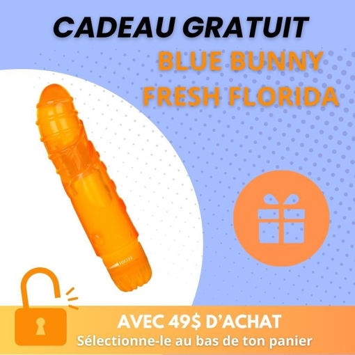 Picture of BLUE BUNNY FRESH FLORIDA - Ecopack