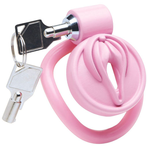 Image de  Vulva Chastity Cage – Contrôle Absolu