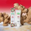 Image de Gel Stimulant Refroidissant EXSENS – Gingembre Litchi